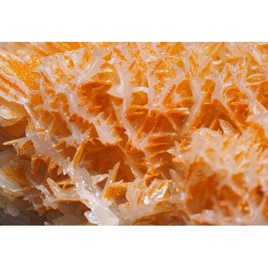 Cerussite & Mimetite