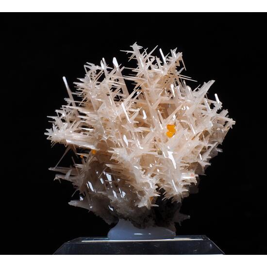 Cerussite & Wulfenite