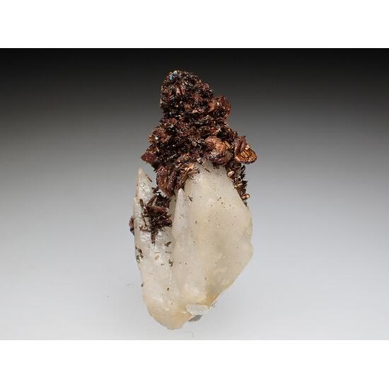 Marcasite & Calcite