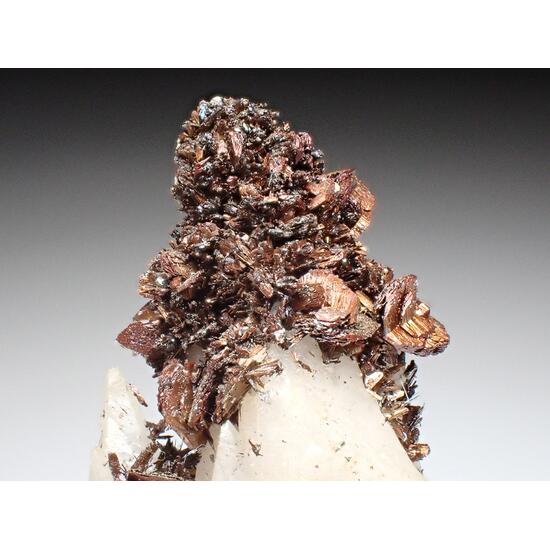 Marcasite & Calcite