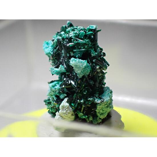 Atacamite & Chrysocolla