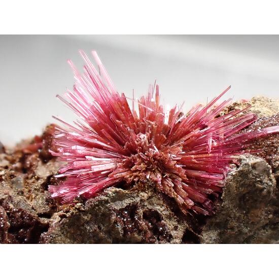 Erythrite