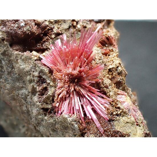 Erythrite