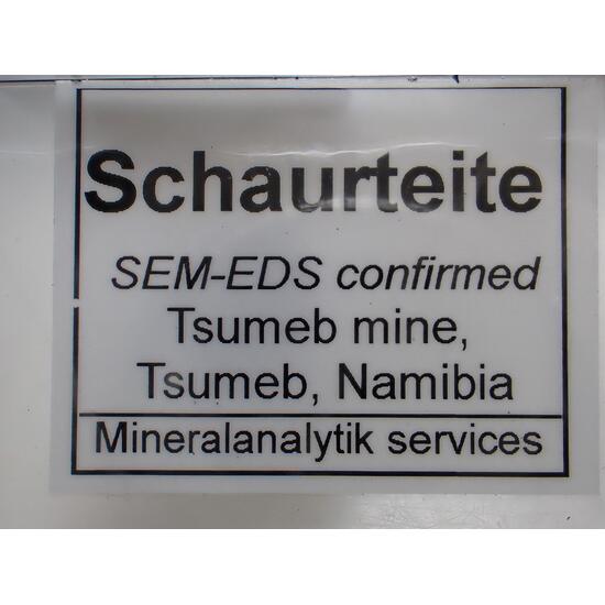 Schaurteite