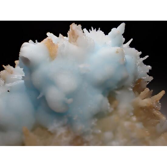 Aragonite