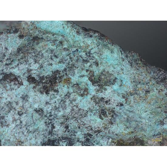 Betpakdalite-CaMg & Sewardite & Lavendulan