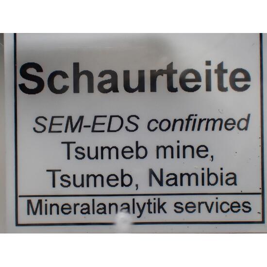 Schaurteite