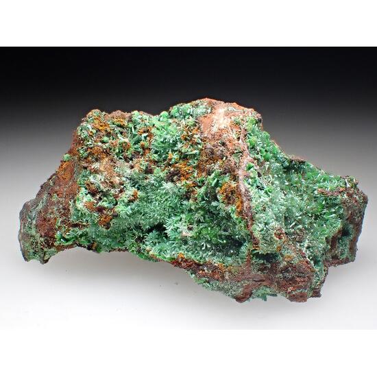 Olivenite & Conichalcite