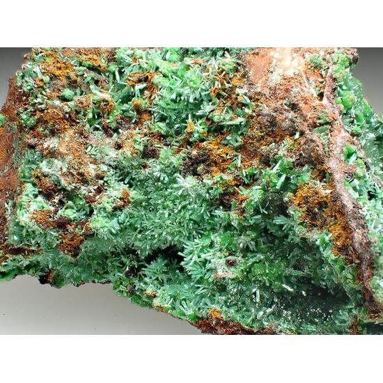Olivenite & Conichalcite
