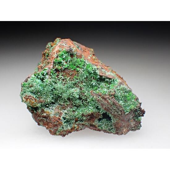 Olivenite & Conichalcite