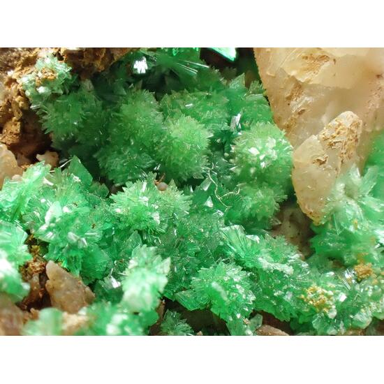 Annabergite