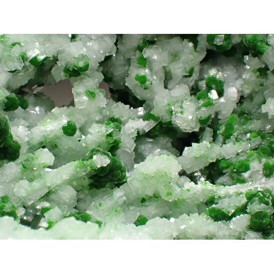 Conichalcite & Calcite