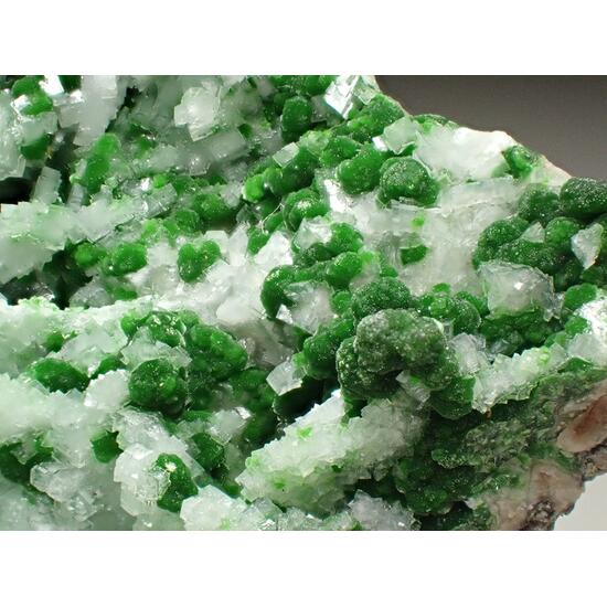 Conichalcite & Calcite