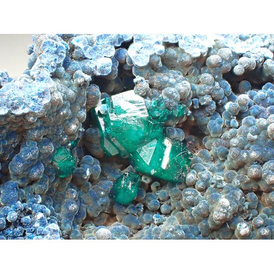 Dioptase Shattuckite & Malachite
