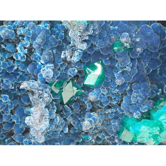 Dioptase Shattuckite & Malachite