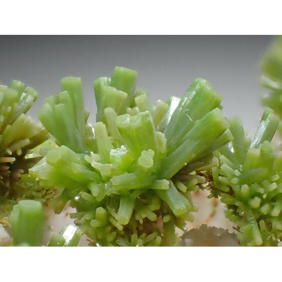 Pyromorphite