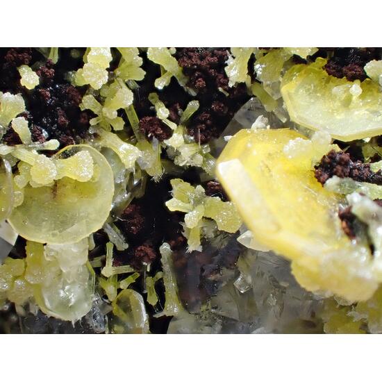 Wulfenite & Mimetite