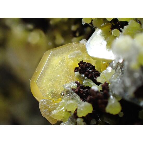 Wulfenite & Mimetite