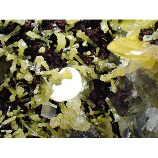 Wulfenite & Mimetite