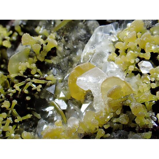 Wulfenite & Mimetite