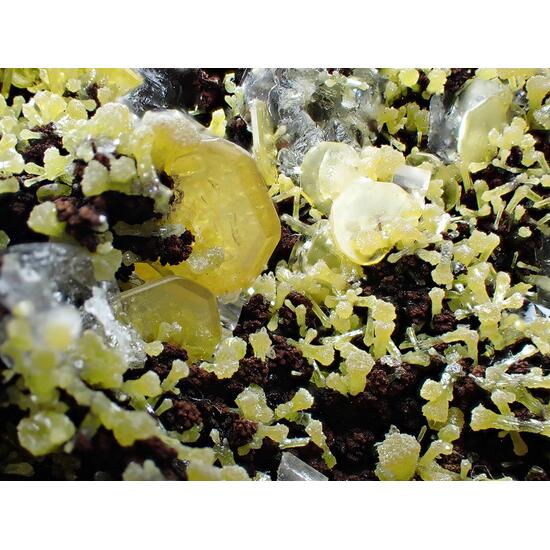 Wulfenite & Mimetite