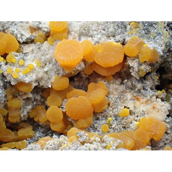 Mimetite Wulfenite & Willemite