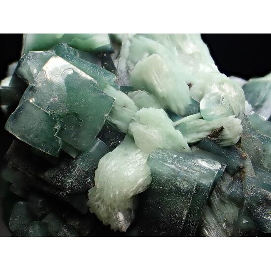 Apophyllite Stilbite & Celadonite