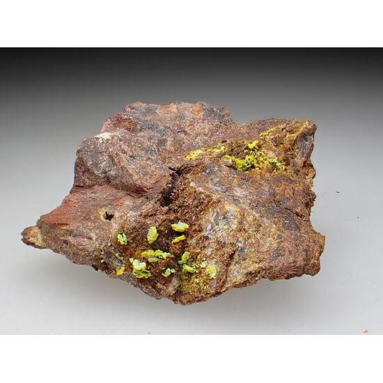 Uranospathite & Torbernite