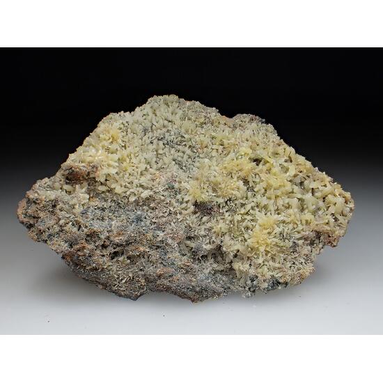 Mimetite