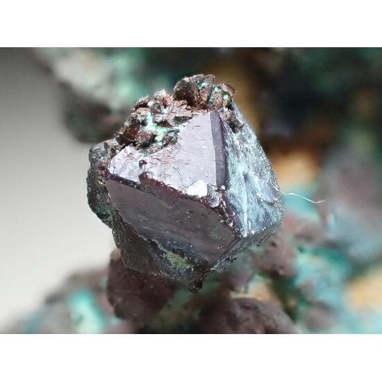 Native Copper & Cuprite