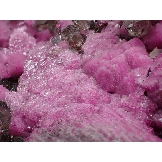 Cobaltoan Calcite & Quartz