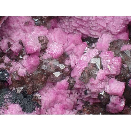 Cobaltoan Calcite & Quartz