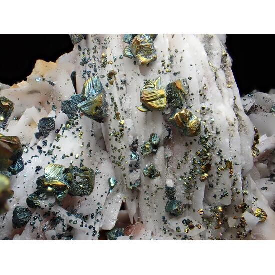 Chalcopyrite Baryte & Dolomite