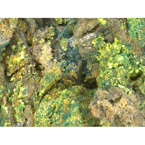 Tsumcorite & Mimetite