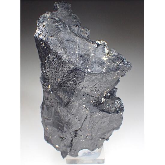 Schorl