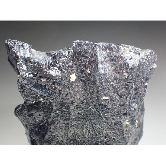 Schorl