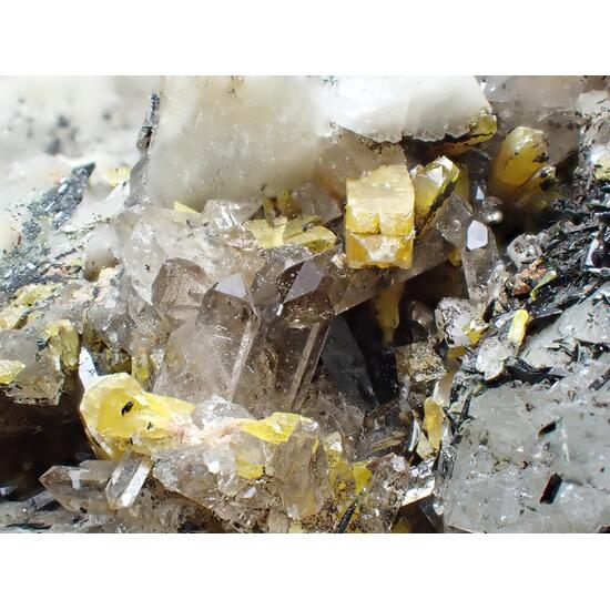 Xenotime Aegirine & Orthoclase