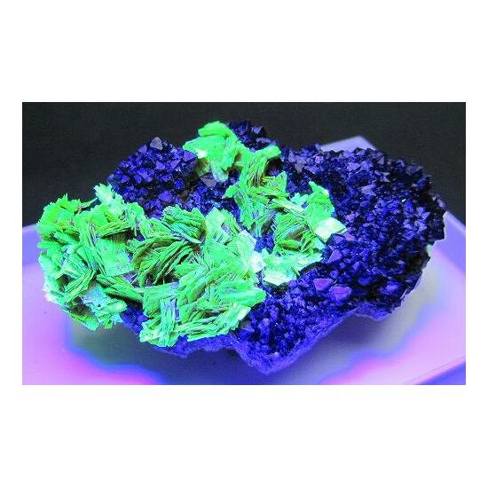 Meta-autunite & Black Smoky Quartz