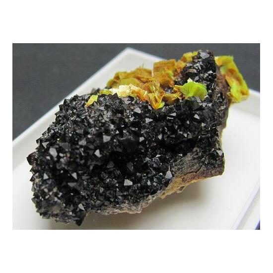 Meta-autunite & Black Smoky Quartz