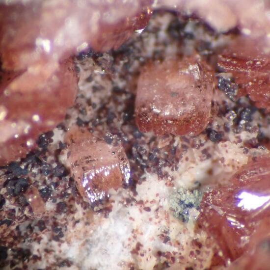 Retzian-(Nd) Sarkinite & Digenite