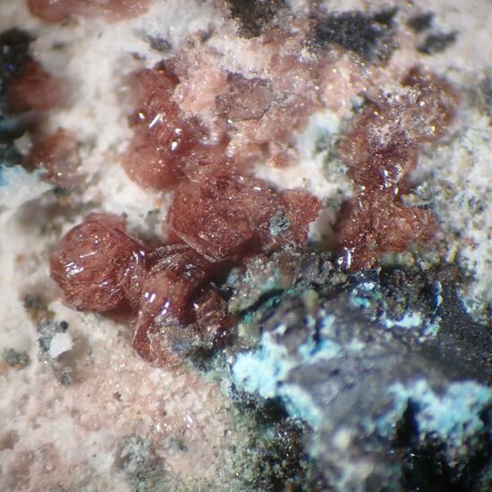 Retzian-(Nd) Sarkinite & Digenite