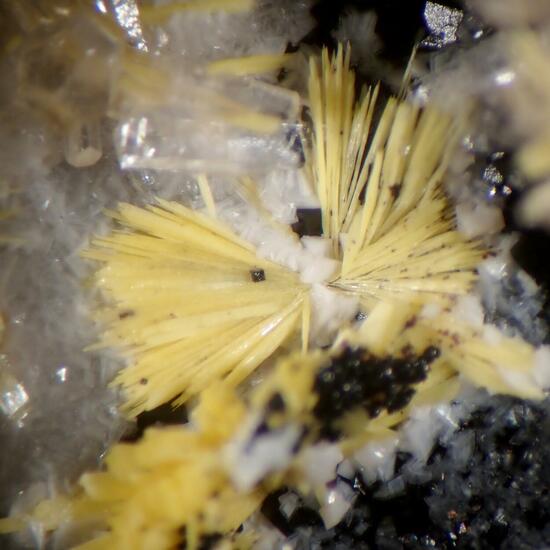 Boltwoodite & Fluorite