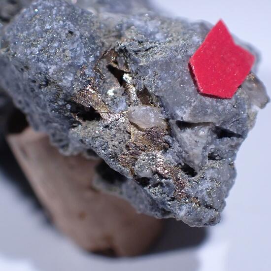 Melonite Psm Calaverite & Gold