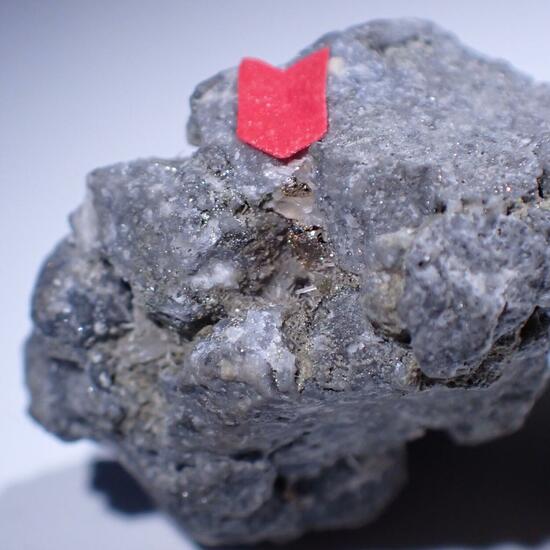 Melonite Psm Calaverite & Gold