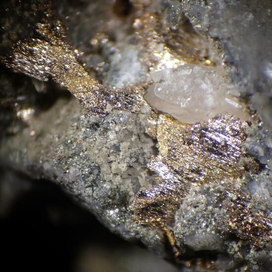 Melonite Psm Calaverite & Gold