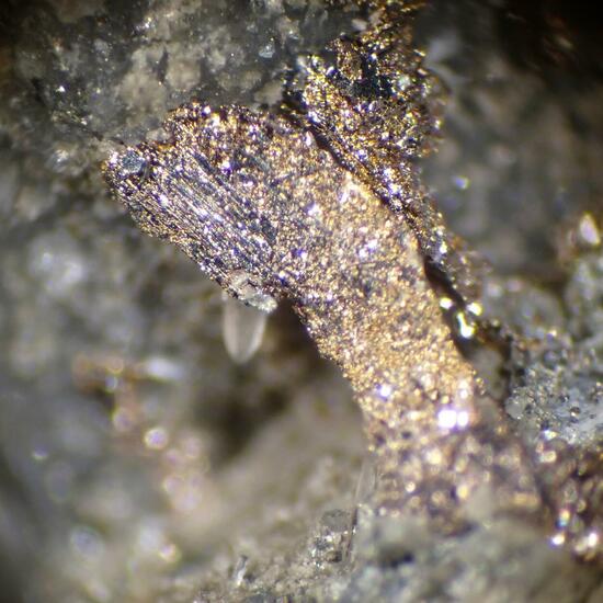 Melonite Psm Calaverite & Gold