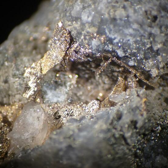 Melonite Psm Calaverite & Gold