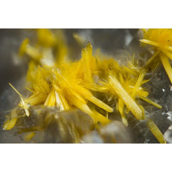 Boltwoodite & Fluorite