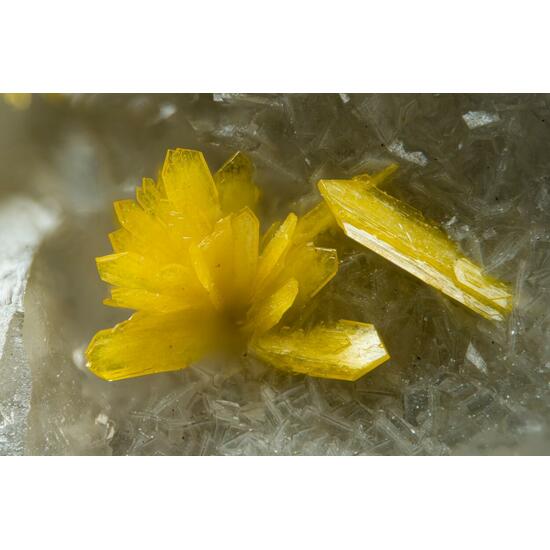 Boltwoodite & Fluorite