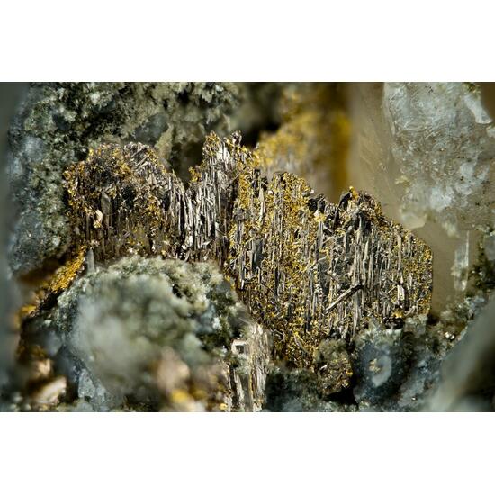 Melonite Psm Calaverite & Gold